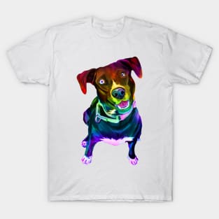 Psychedelic Colorful Canine Labrador Mix T-Shirt